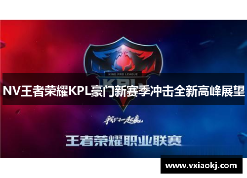 NV王者荣耀KPL豪门新赛季冲击全新高峰展望