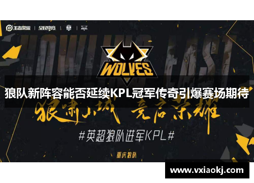 狼队新阵容能否延续KPL冠军传奇引爆赛场期待